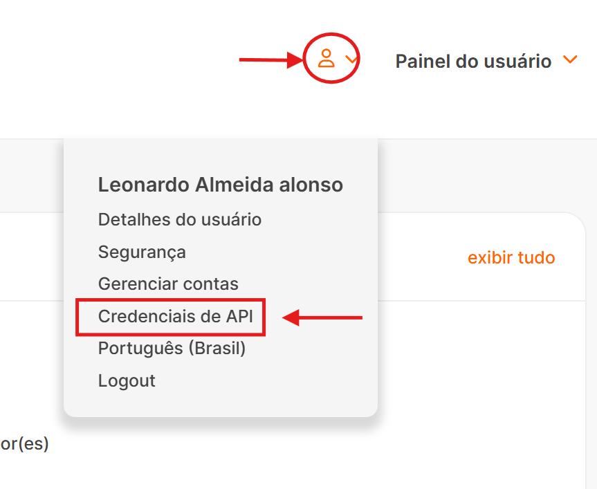 Página da API da Awin mostrando onde gerar e copiar o token de API
