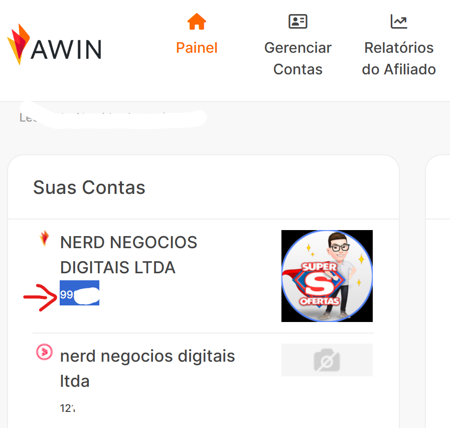 Página da conta na Awin com o ID da conta (publisher ID) destacado